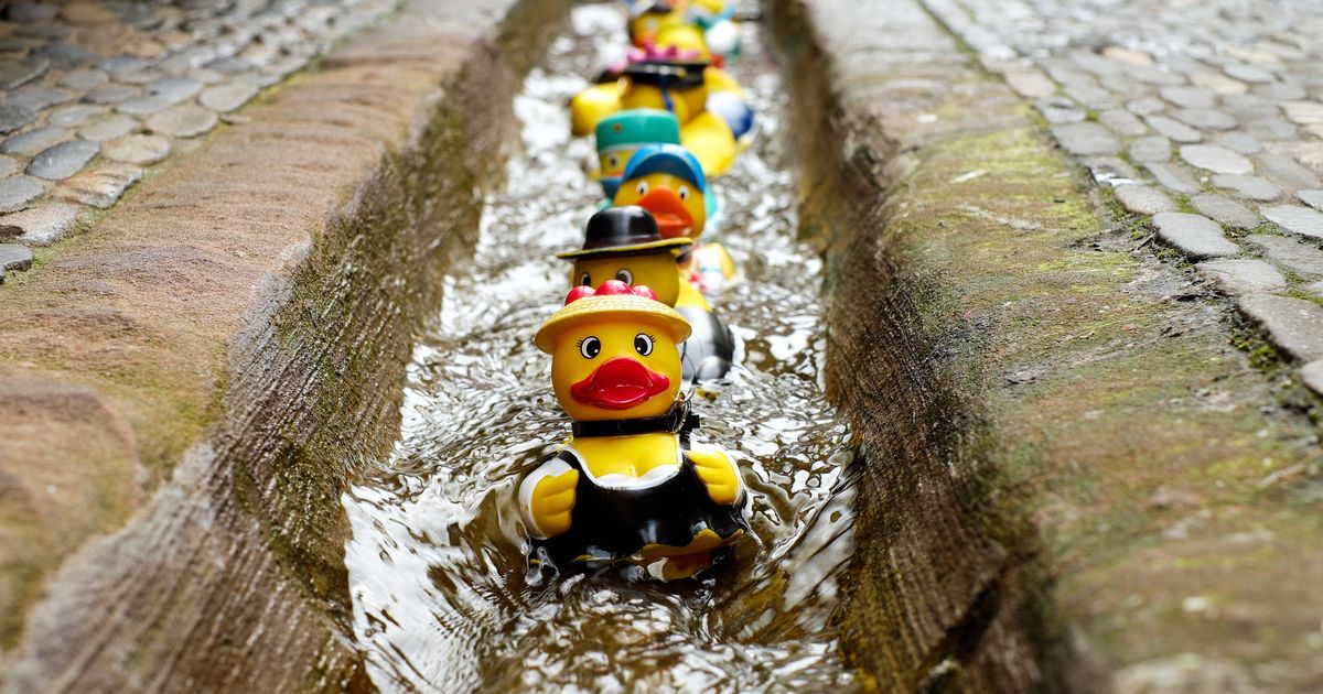 Custom Cruise Line Ducks: The Ultimate Gift Guide - JM Designs