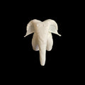4 Different White Elephant Towel Animal Keychain Cruise Lines Souvenir Travel Accessory Vacations - JM Designs