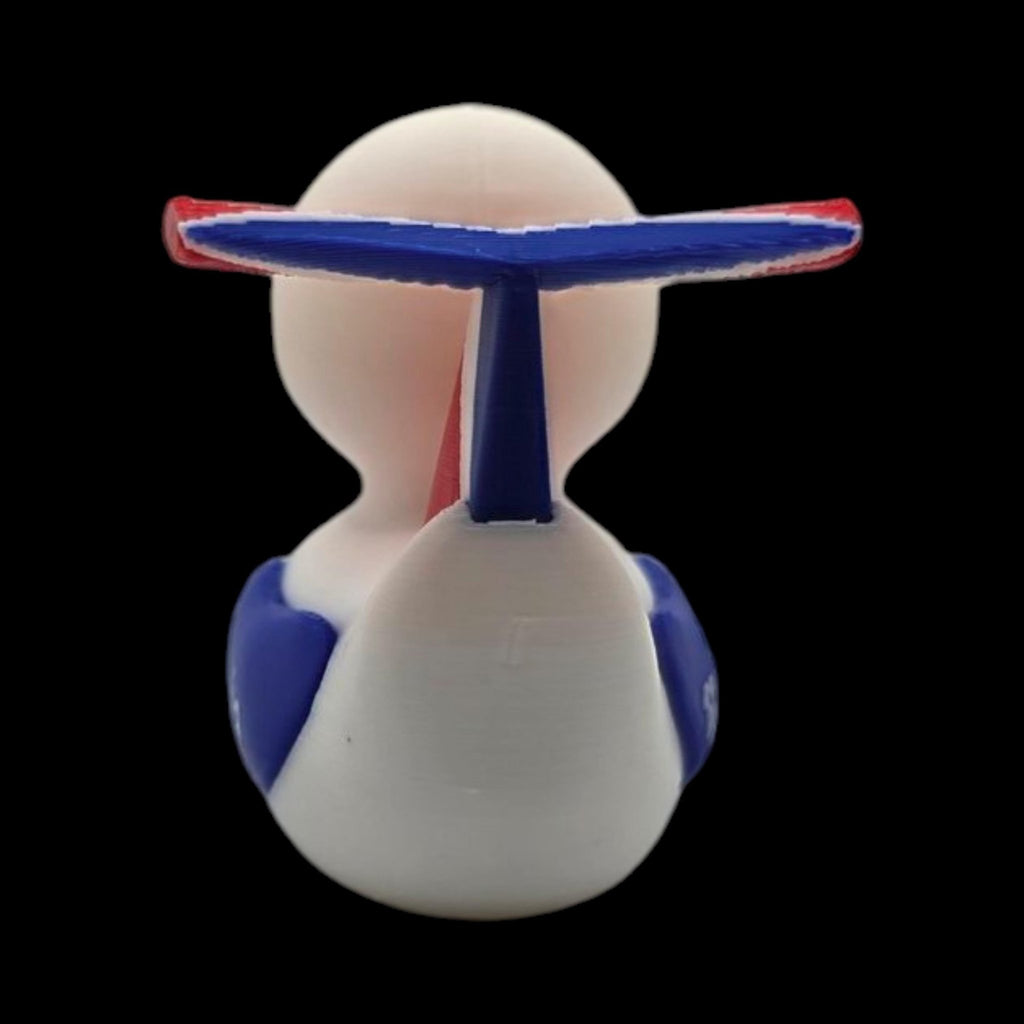 Custom Cruise Line Inspired Duck Whit Ship Name- JM Designs