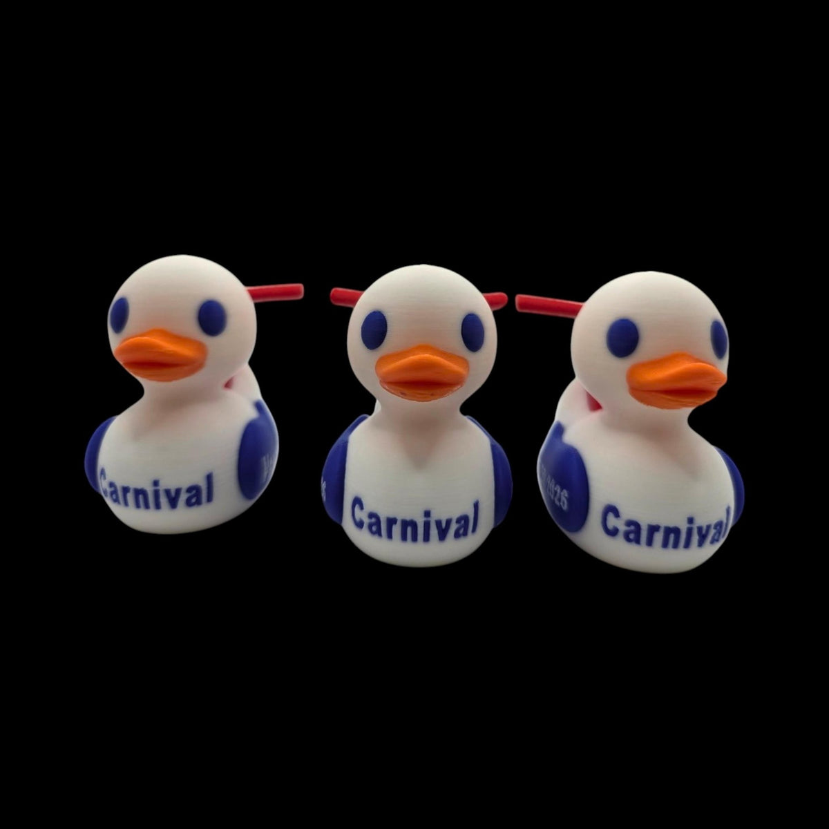 Custom Cruise Line Inspired Duck Whit Ship Name- JM Designs