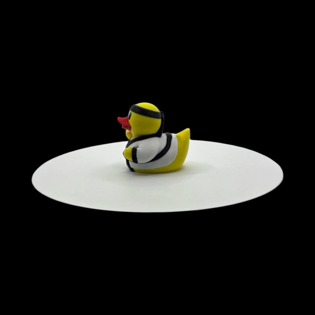 Karate Duck - JM Designs