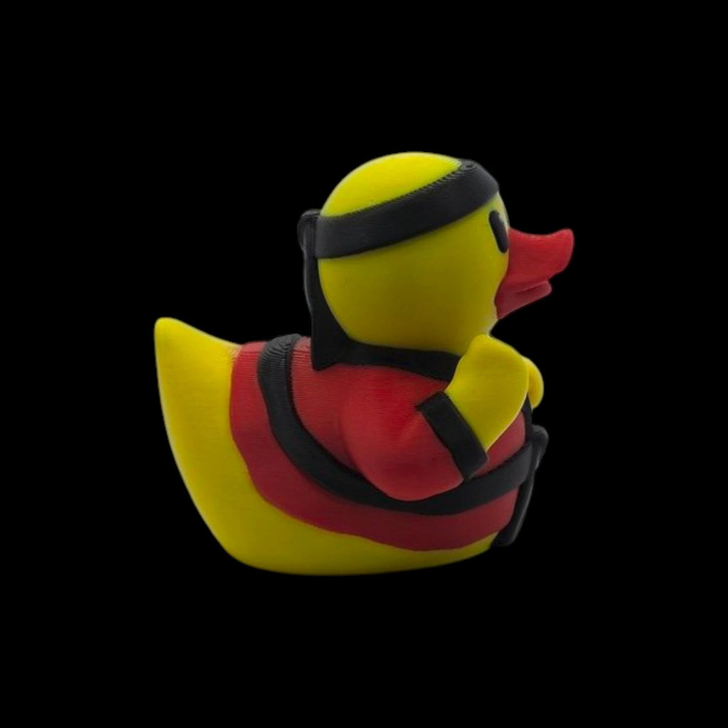 Karate Duck - JM Designs